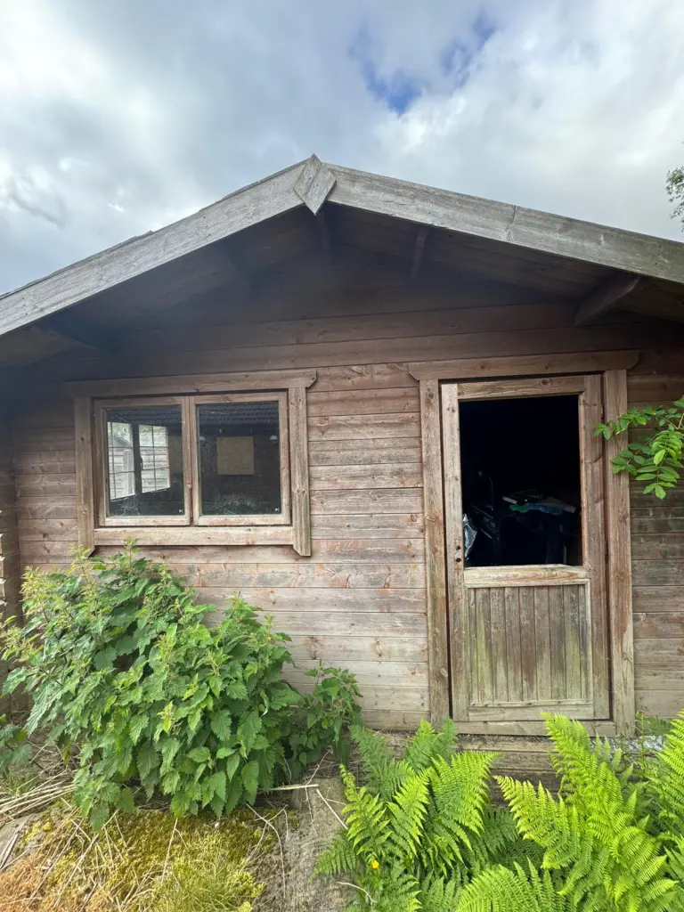 Weathered timber lodge with an open door, surrounded by ferns