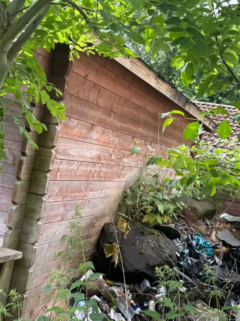 Rubbish heaped against a timber outbuilding among overgrown trees