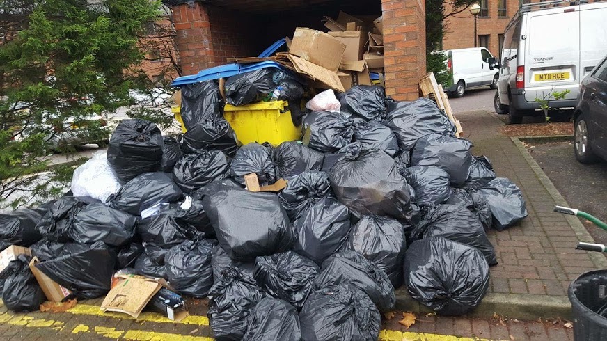 Rat Prevention Waste