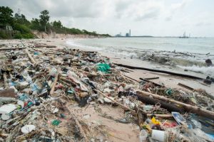 Beach covered in washed-up plastic and debris along the waterline