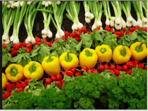 Food waste