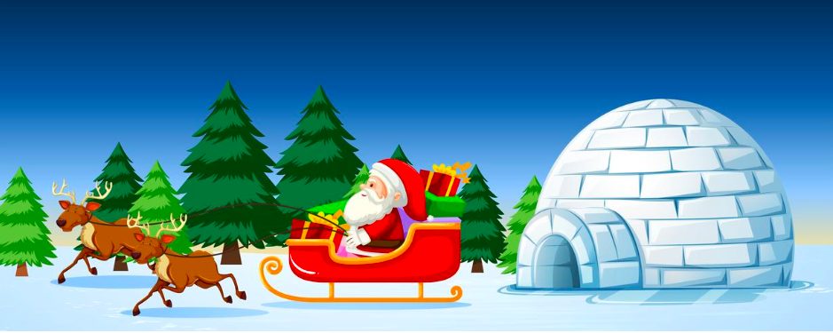 Christmas Rubbish Removal