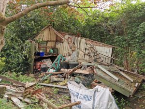 Shed clearance
