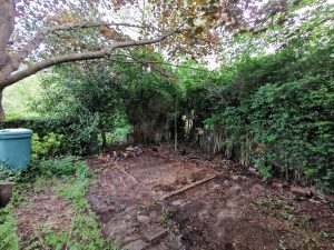 Garden Clearance