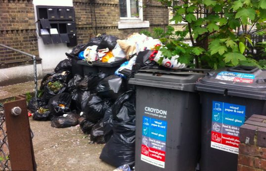 Bin Collection