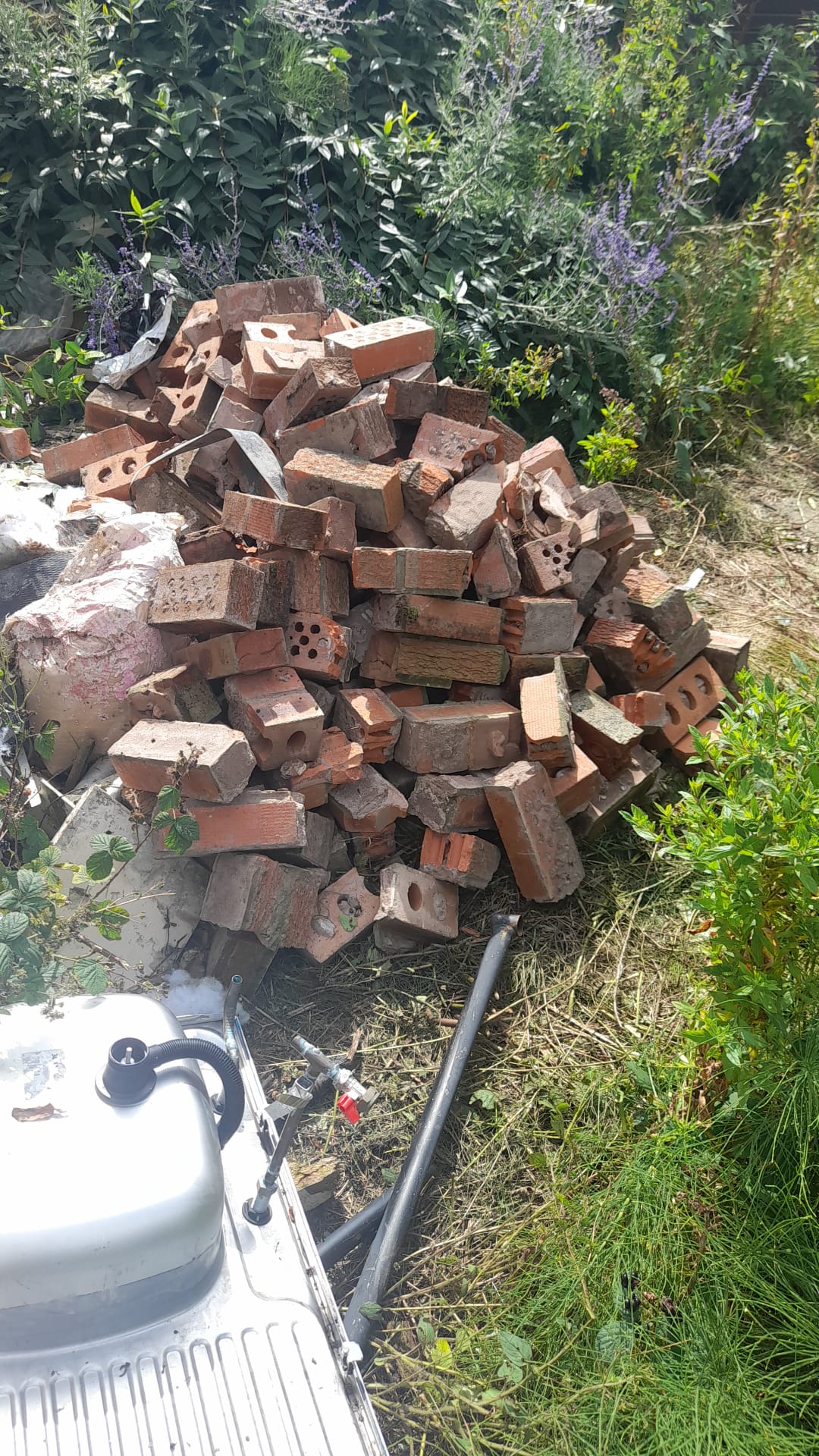 Pile of old bricks and a discarded sink among overgrown garden plants