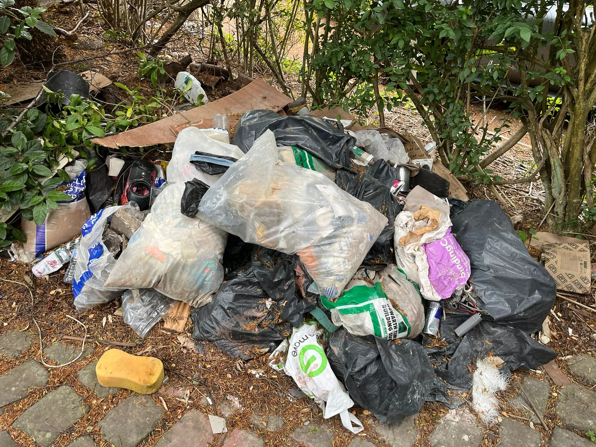 Heap of fly-tipped bin bags and plastic waste dumped among shrubs