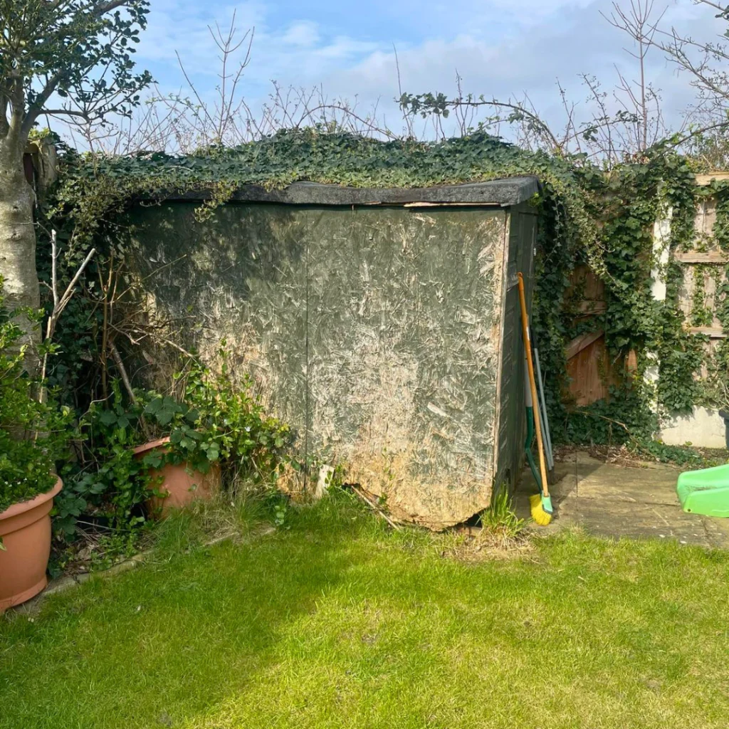 An overgrown, old shed in a garden