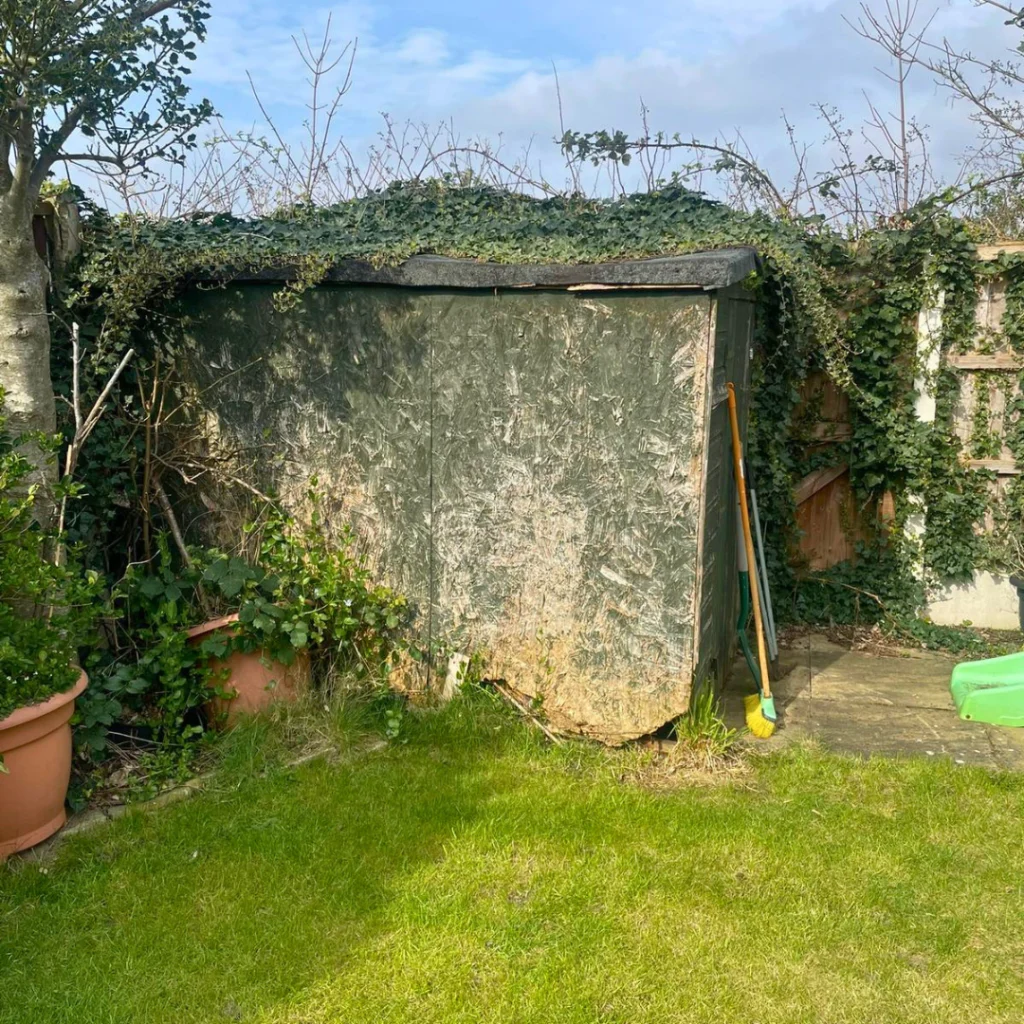 An overgrown, old shed in a garden
