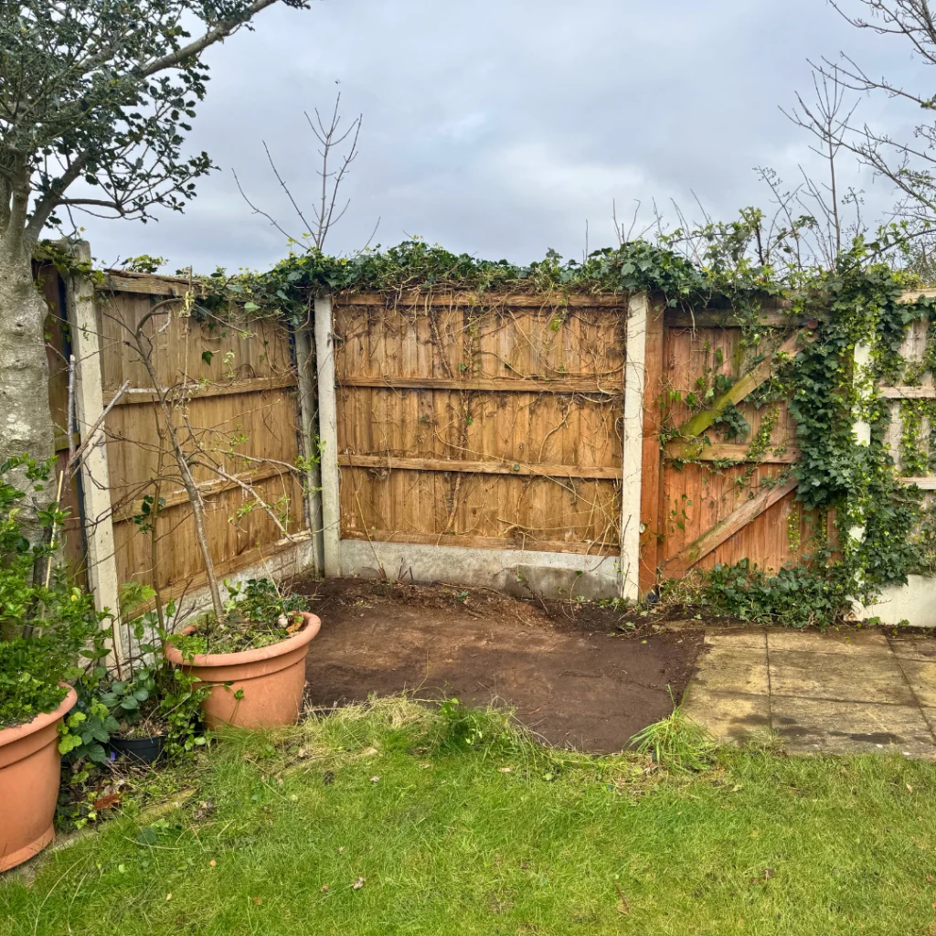 A cleared garden after a shed removal service