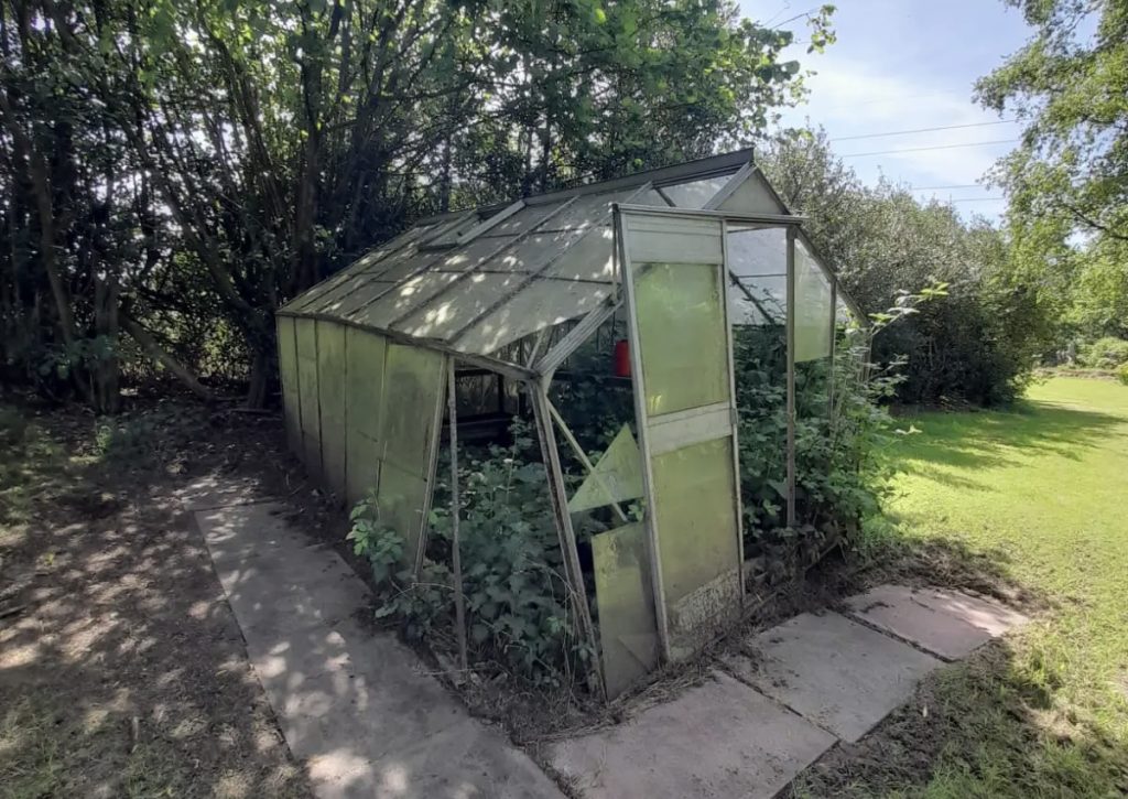 A picture of a large overgrown greenhouse that the Rubbish Removers demolished and cleared