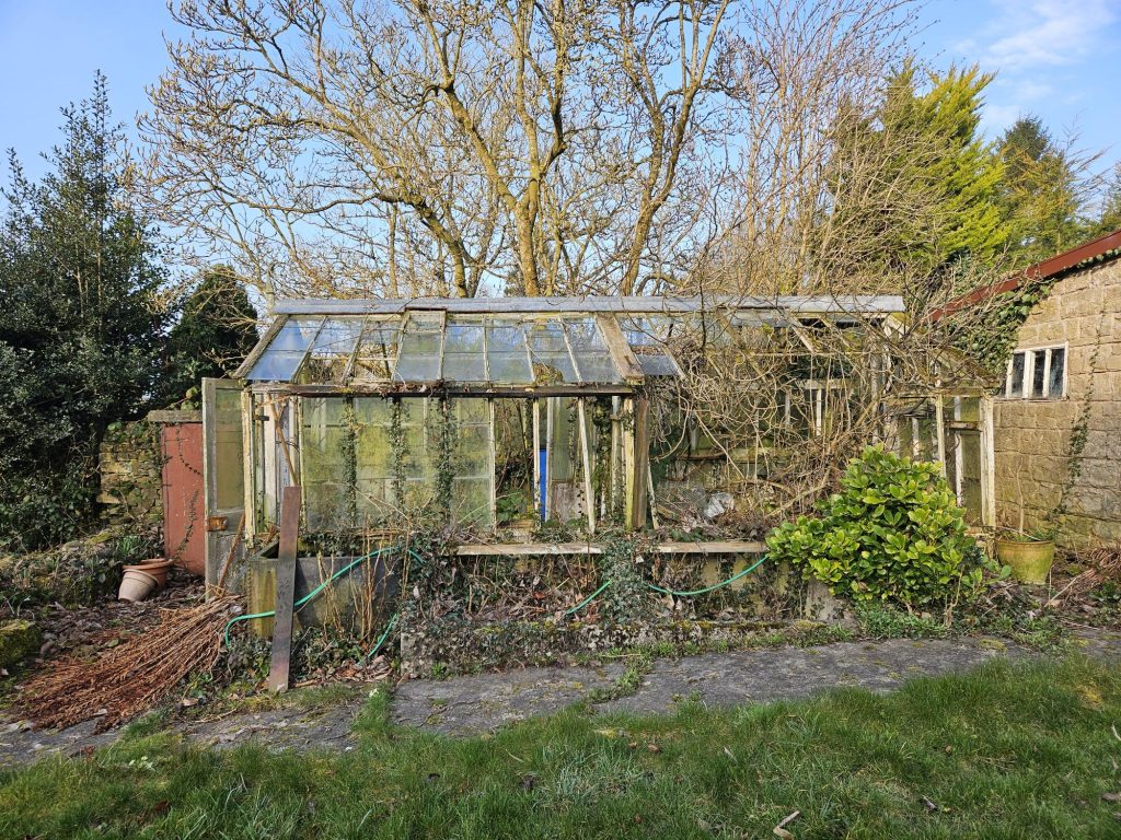 A picture of a large, overgrown greenhouse that the Rubbish Removers safely cleared.
